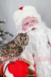 Костюмы Деда Мороза и Снегурочки -  Комплект «Византийский»