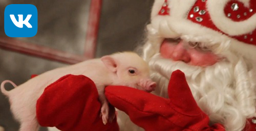 Дед Мороз и Снегурочка с животными